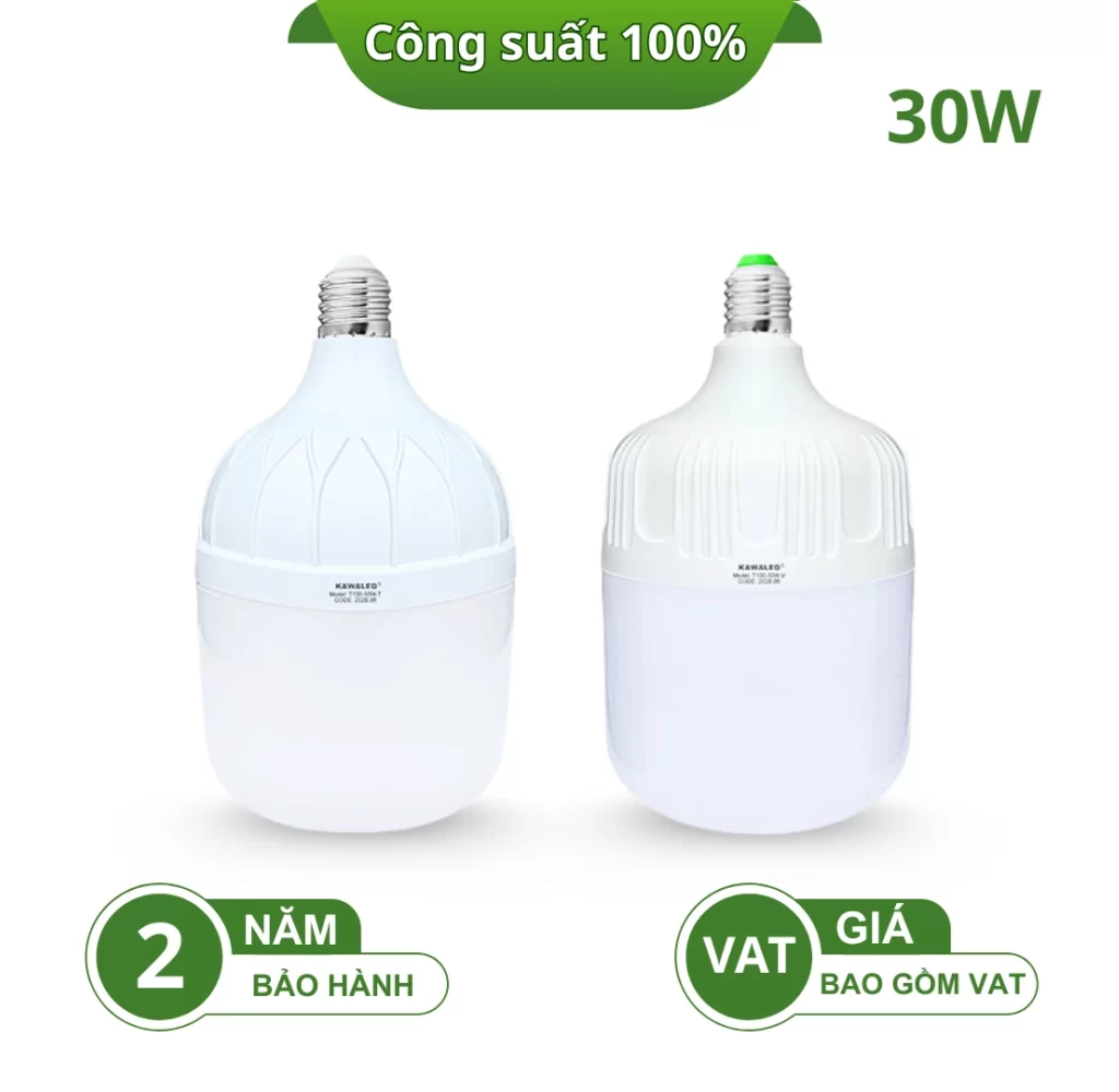 ĐÈN LED BULB TRỤ THÂN NHỰA T100-30W-T/V