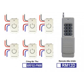 Hạt công tắc điều khiển từ xa âm tường (Hạt Thu) 6RF02PNW-RM12D